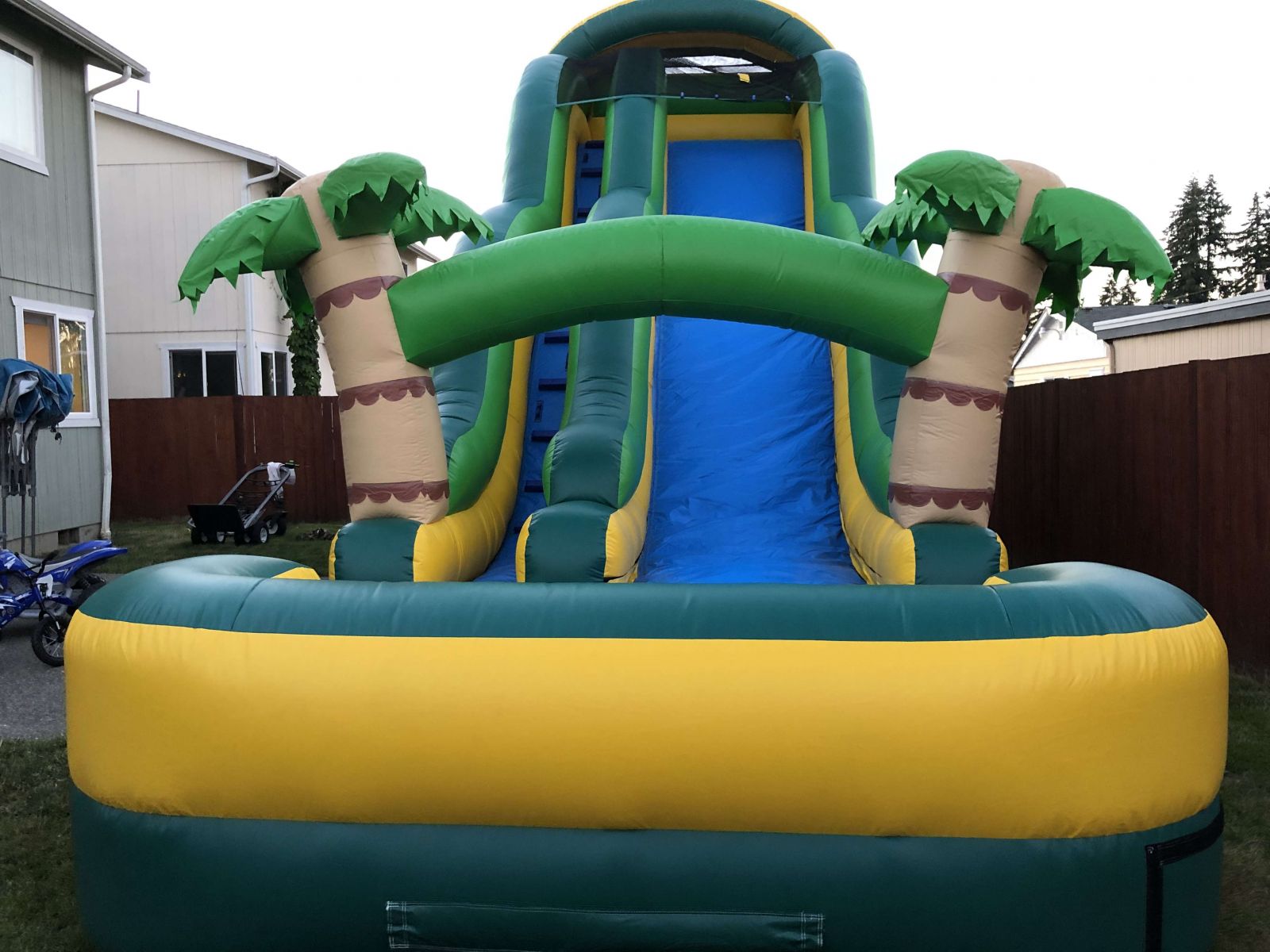 tropical Palm tree dry slide